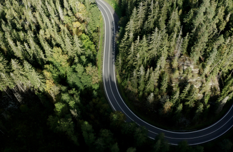 EDIT SEQ.00 00 01 02.Still021